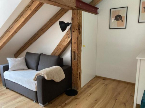 schöne 1-Zimmer-Wohnung in der Altstadt